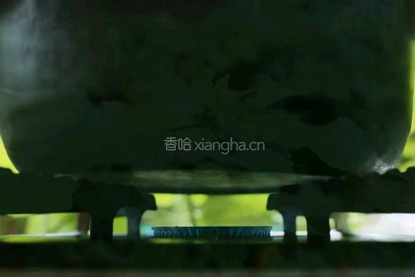 熟地冬瓜猪骨汤的做法图解6