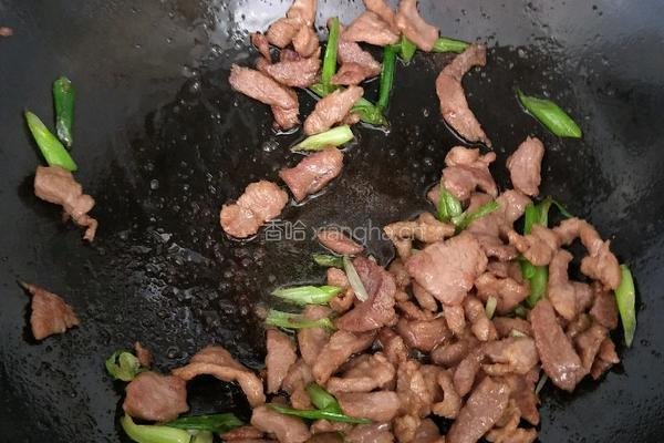 大葱炒肉的做法图解8