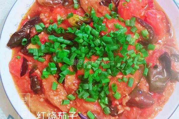 红烧双茄（茄子+番茄）的做法图解5