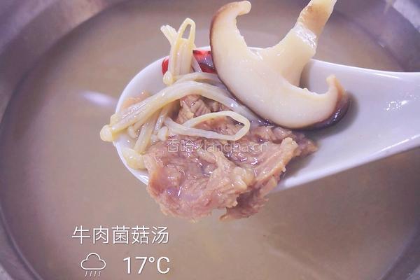 牛肉菌菇汤的做法图解10