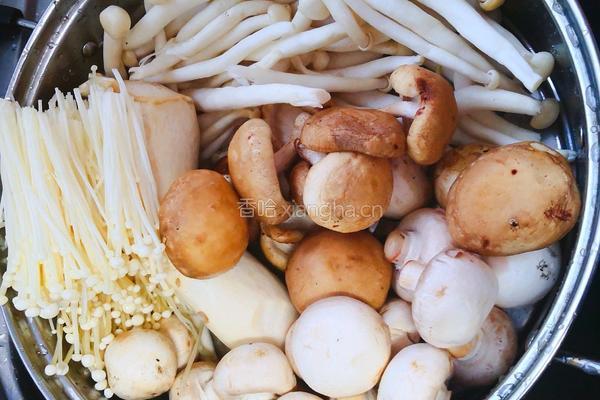 牛肉菌菇汤的做法图解6