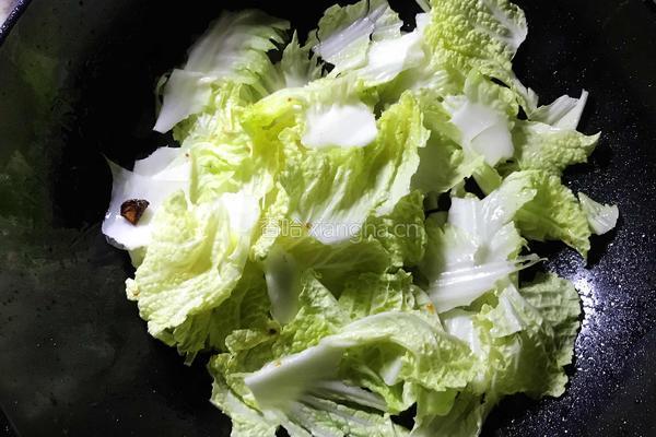 家常醋溜白菜的做法图解5