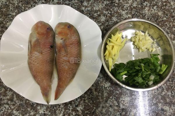 煎煮马头鱼的做法图解1