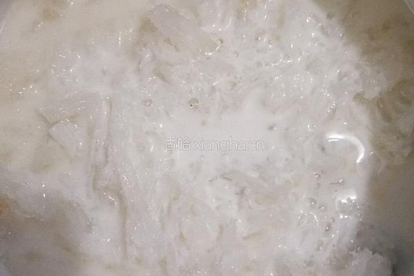 燕窝桃胶木瓜奶糖水的做法图解7