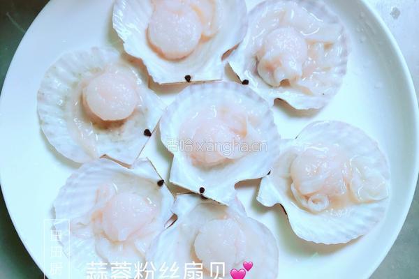 蒜蓉粉丝扇贝的做法图解2