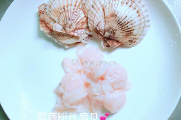 蒜蓉粉丝扇贝的做法图解3