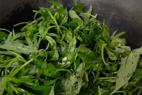 番薯叶炒罐头鱼的做法图解6