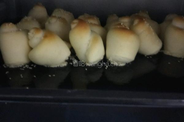 蜂蜜脆底小面包(详细步骤一次成功)的做法图解18