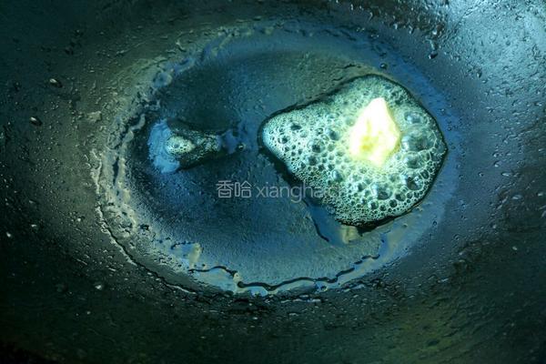 薄底烤鸡蘑菇披萨的做法图解4