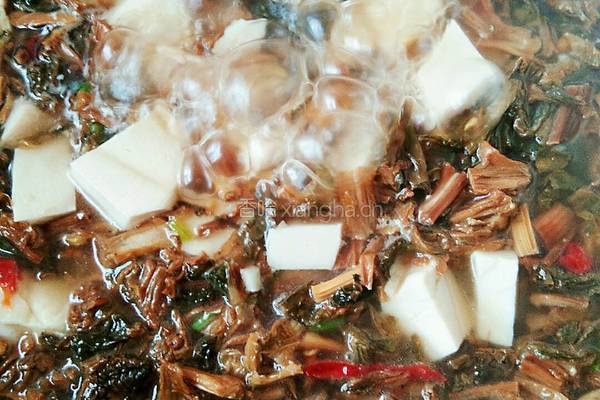 干白菜腌菜煮豆腐的做法图解8