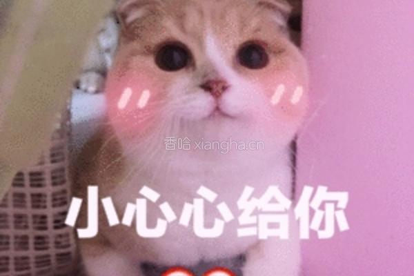 山西 擦擦的做法图解10