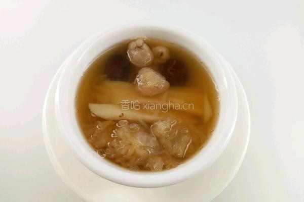 菊花沙参汤 清肺健脾的做法图解5