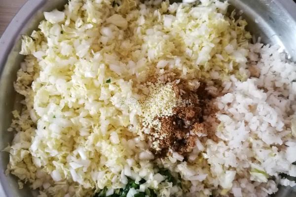 白菜藕水饺的做法图解3