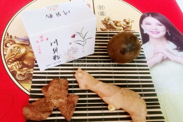 川贝秋梨膏的做法图解2