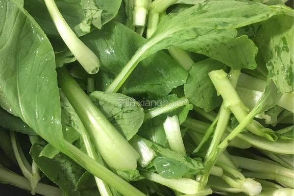 香菇油菜的做法图解3