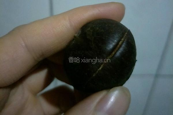 烤箱版糖炒栗子的做法图解5