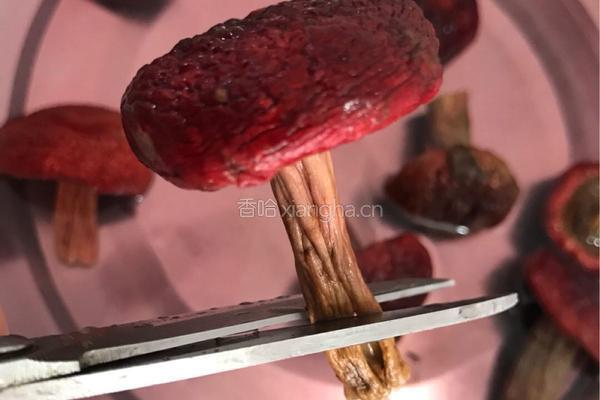 【呷补丨煲汤】红菇山药炖排骨的做法图解1