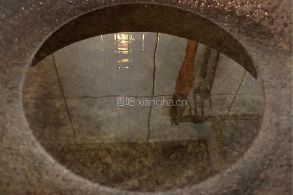 水煮牛肉的做法图解13