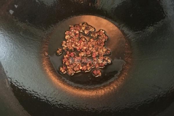 牛腩炖西红柿的做法图解9