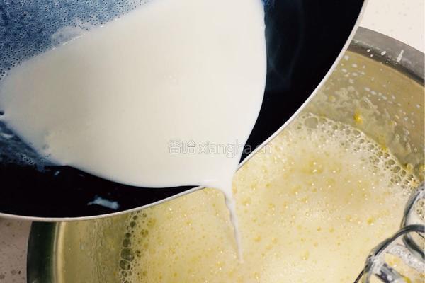 自制蓝莓奶油冰激凌的做法图解6