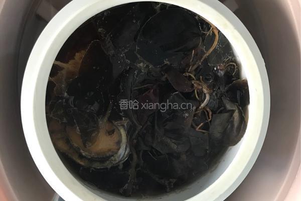 【呷补丨煲汤】野生金线莲炖鲍鱼（2-3人份）的做法图解8