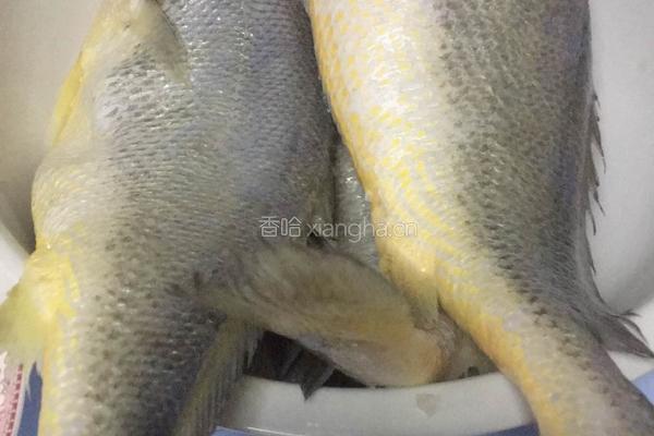 黄花鱼的故事的做法图解1