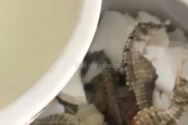 【呷补丨煲汤】海马椰子炖龙骨汤（2一3人份）的做法图解6