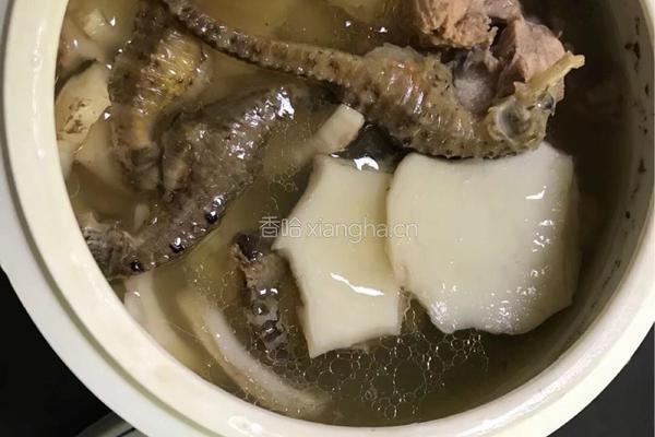 【呷补丨煲汤】海马椰子炖龙骨汤（2一3人份）的做法图解10