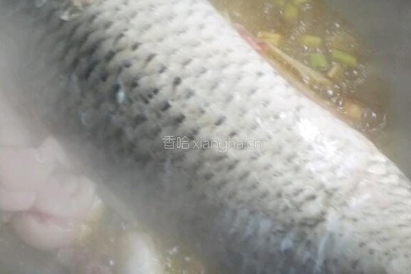 炖鱼的做法图解5