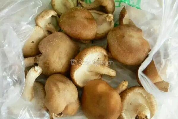 鸡腿蔬菜闷饭的做法图解4