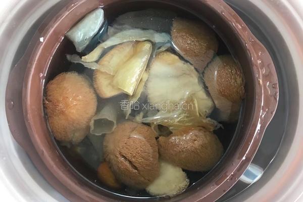 【呷补丨煲汤】猴头菇花胶炖鸡肉汤（3人份）的做法图解5