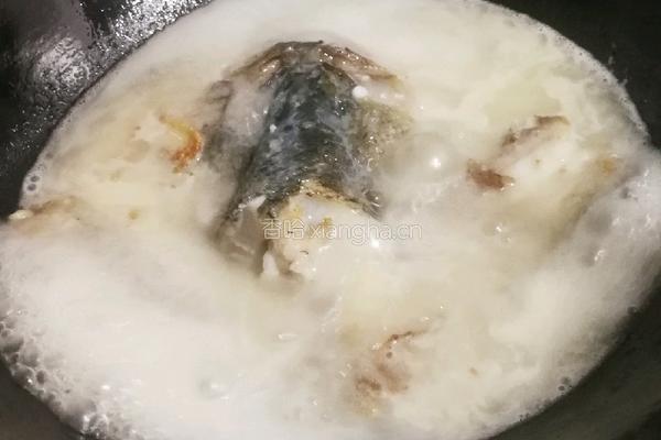 酸汤鱼的做法图解6