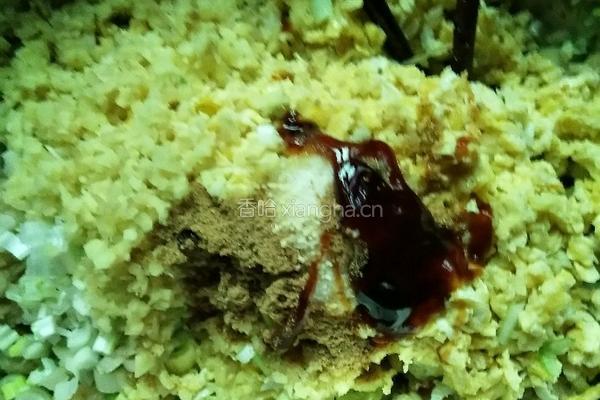素饺子的做法图解5
