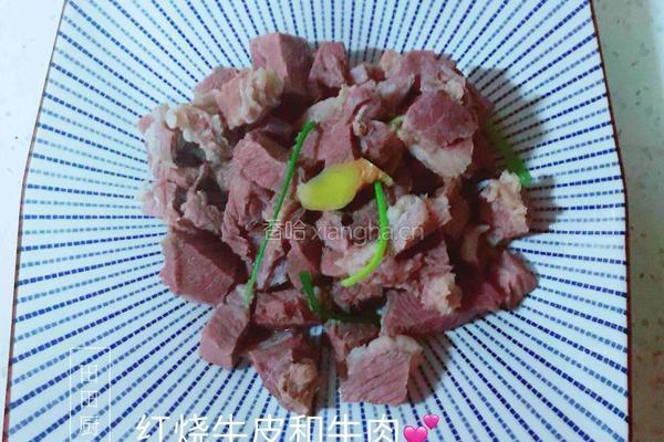 红烧牛皮的做法图解3