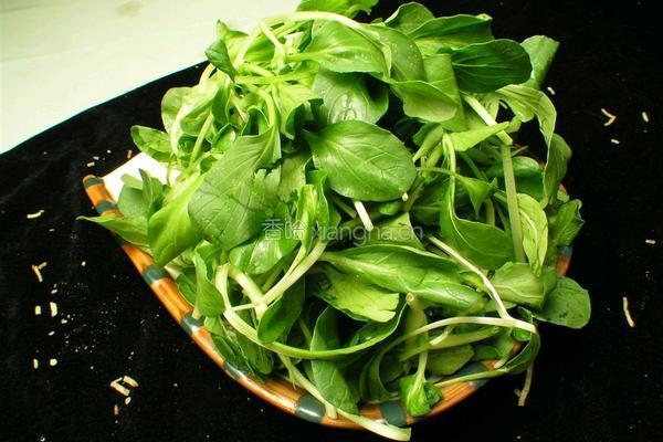 蘑菇清炒鸡毛菜的做法图解1