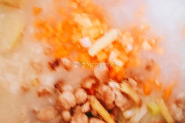皮蛋瘦肉粥(第一种方法）的做法图解14