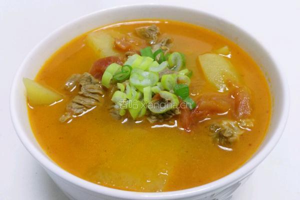番茄土豆牛腩汤的做法图解4