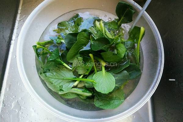 番茄牛肉丝面条的做法图解3