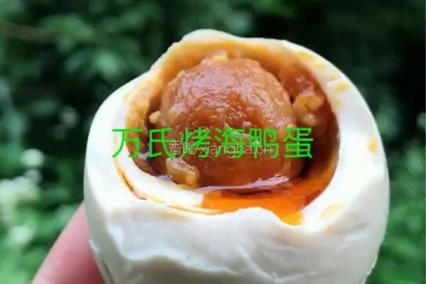 万氏烤海鸭蛋咸鸭蛋腌制方法的做法图解7