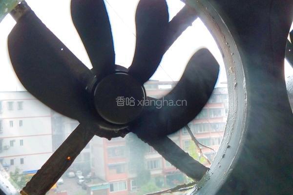 土豆炒肉丝的做法图解16