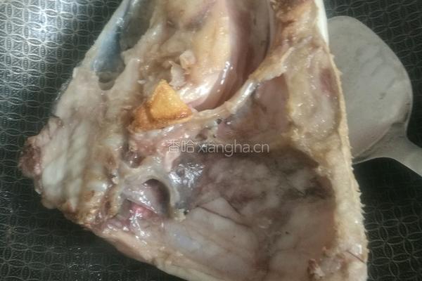 清炖鱼头豆腐汤的做法图解4
