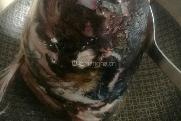 清炖鱼头豆腐汤的做法图解5