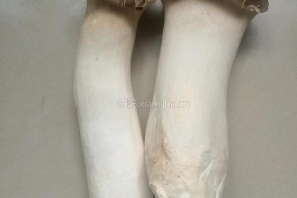 清炖鱼头豆腐汤的做法图解8