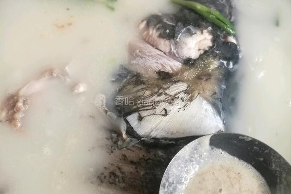 清炖鱼头豆腐汤的做法图解11