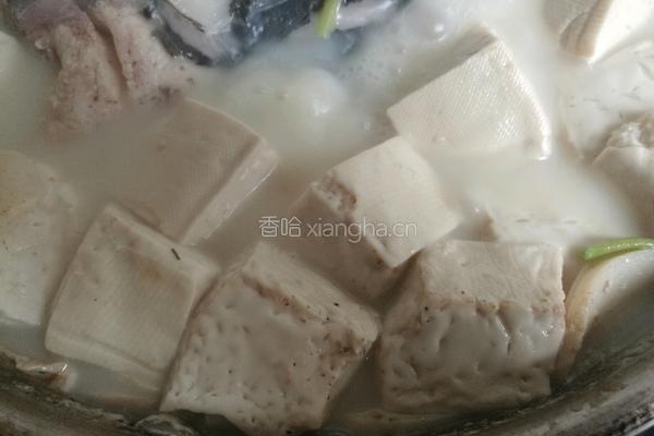 清炖鱼头豆腐汤的做法图解14