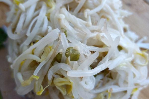 凉拌豆芽豆丝的做法图解6