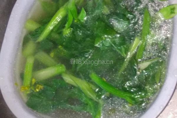 蒜蓉菜心的做法图解2