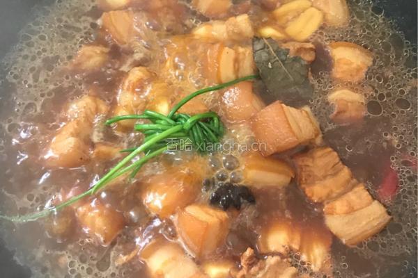 红烧肉的做法图解10