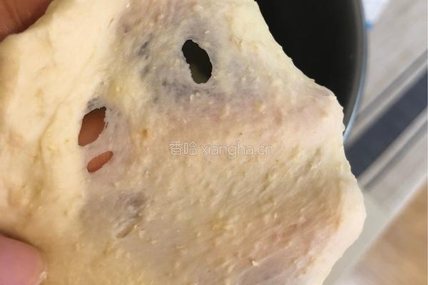 超软椰蓉葡萄干小面包的做法图解5