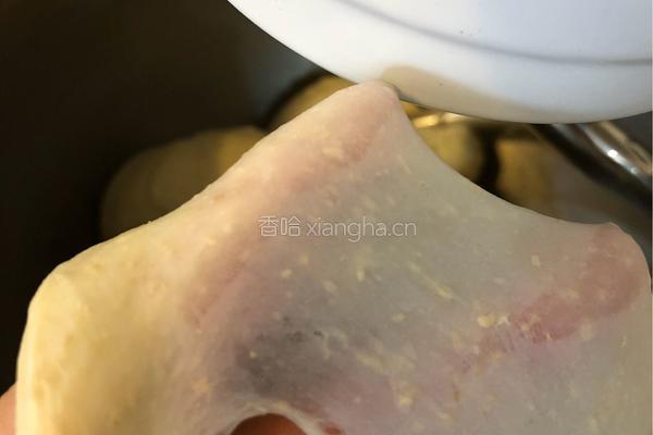 超软椰蓉葡萄干小面包的做法图解8